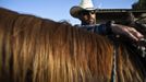 Alon, an Israeli cowboy, unloads his horse after working with cattle in the early morning, on a ranch just outside Moshav Yonatan, a collective farming community, about 2 km (1 mile) south of the ceasefire line between Israel and Syria in the Golan Heights May 21, 2013. Cowboys, who have been running the ranch on the Golan's volcanic rocky plateau for some 35 years, also host the Israeli military, who use half of the cattle farm, 20,000 dunams (5,000 acres), as a live-fire training zone. Israel captured the Golan Heights from Syria in the 1967 Middle East war and annexed the territory in 1981, a move not recognized internationally. Picture taken May 21, 2013. REUTERS/Nir Elias (ENVIRONMENT ANIMALS SOCIETY) ATTENTION EDITORS: PICTURE 18 OF 27 FOR PACKAGE 'COWBOYS OF THE GOLAN HEIGHTS' SEARCH 'COWBOY GOLAN' FOR ALL IMAGES Published: Kvě. 29, 2013, 10:07 dop.