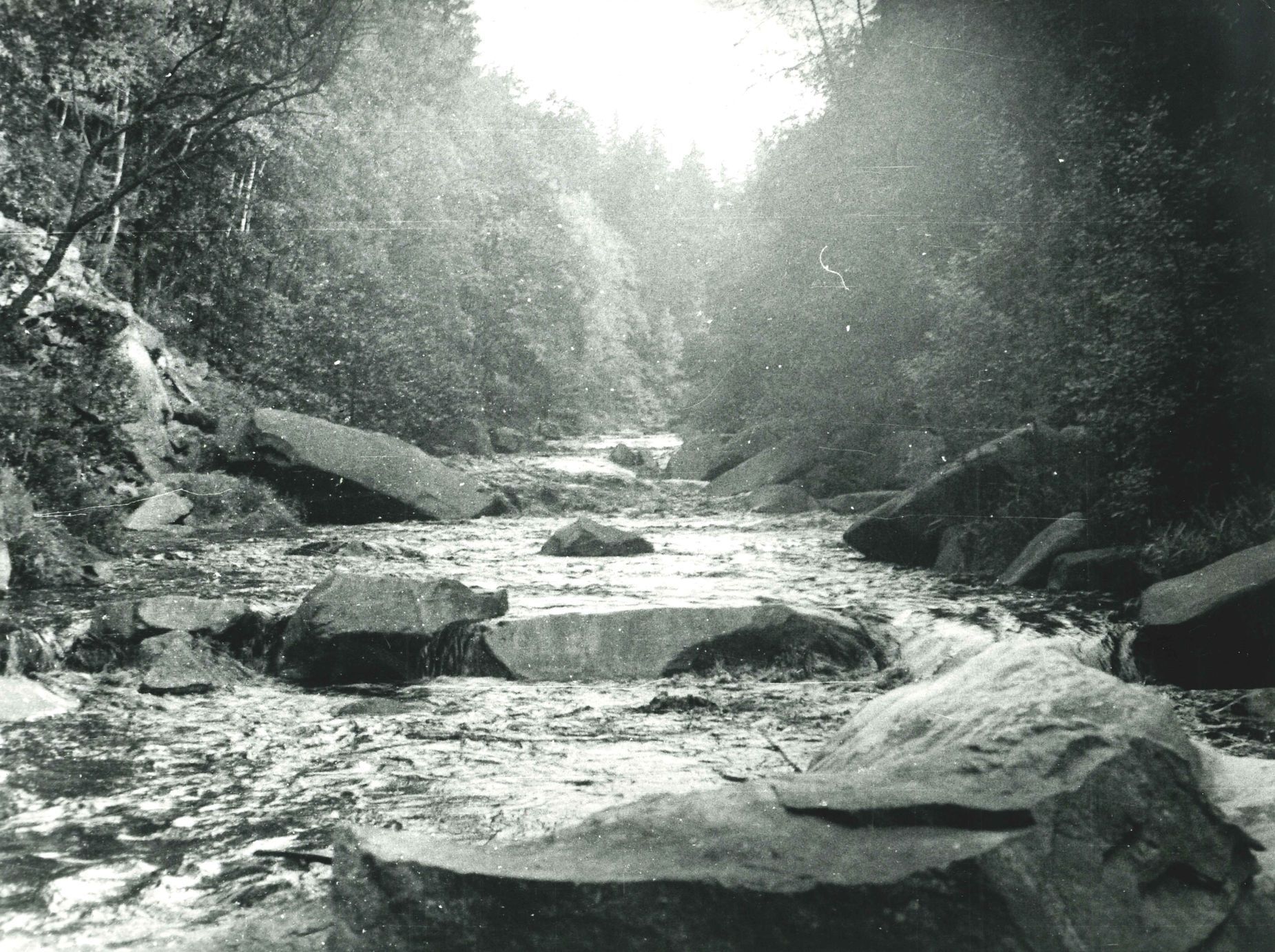 Vodní nádrž Lipno, Lipno, přehrada, vodní elektrárna, historie, stavba, výročí, Domácí