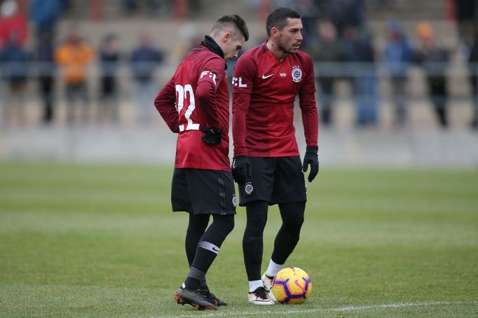 fotbal, příprava, Sparta - České Budějovice, Srdjan Plavšič a Nicolae Stanciu