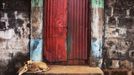 Dog sits on steps of door into compound of traditional colonial-era Board House in Murray Town of Freetown