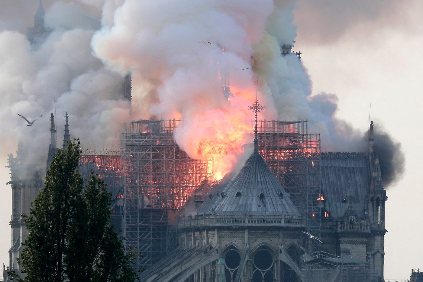 notre_2