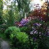 Víkend otevřených zahrad 9. &#8211; 10.6. 2012 - Památník obětem zla meditační zahrada v Plzni