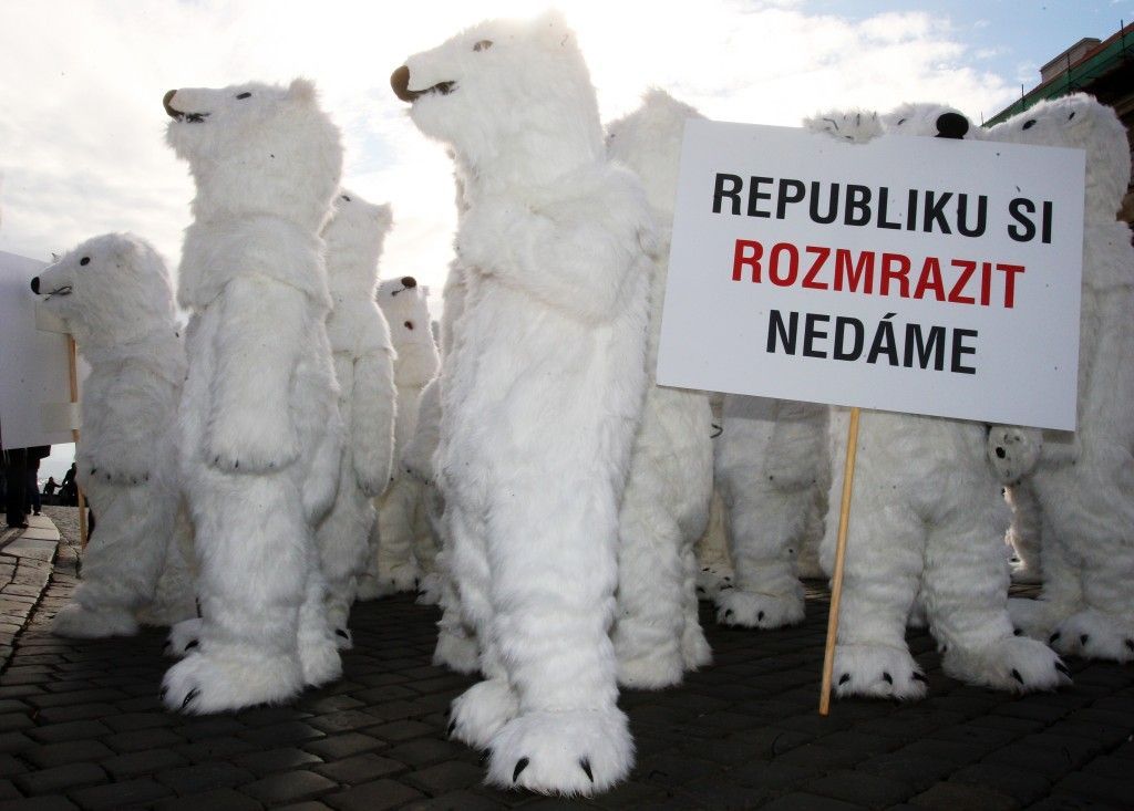 Demonstrace ledních medvědů