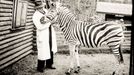 ZOO Liberec slaví 120 let od svého vzniku. Podívejte se na historické momenty a vývoj nejstarší zoologické zahrady v českých zemích od jejího založení v roce 1904.