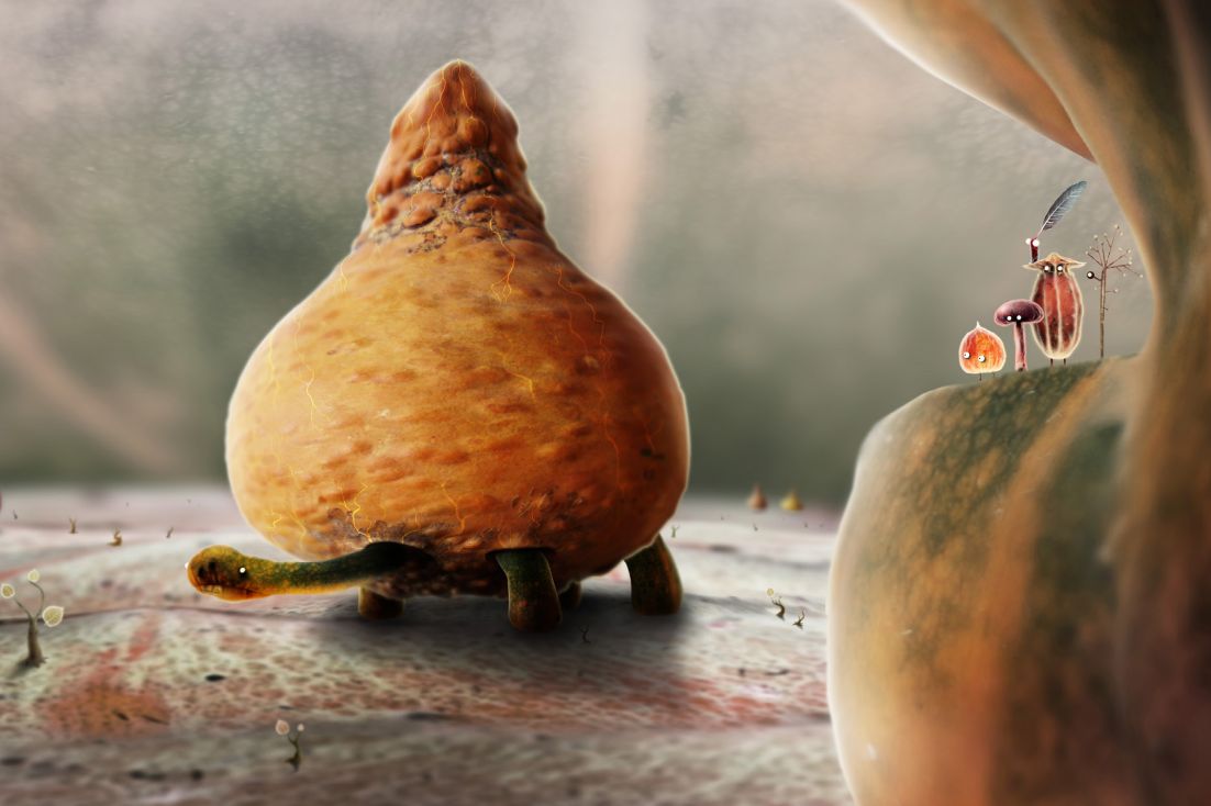 Amanita Design Botanicula