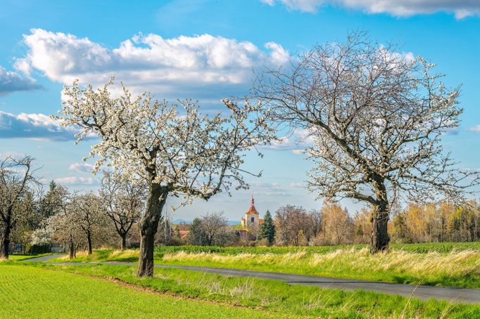 Krása jarní Prahy na fotografiích Richarda Horáka (vítěz soutěže Praha fotografická 2023)