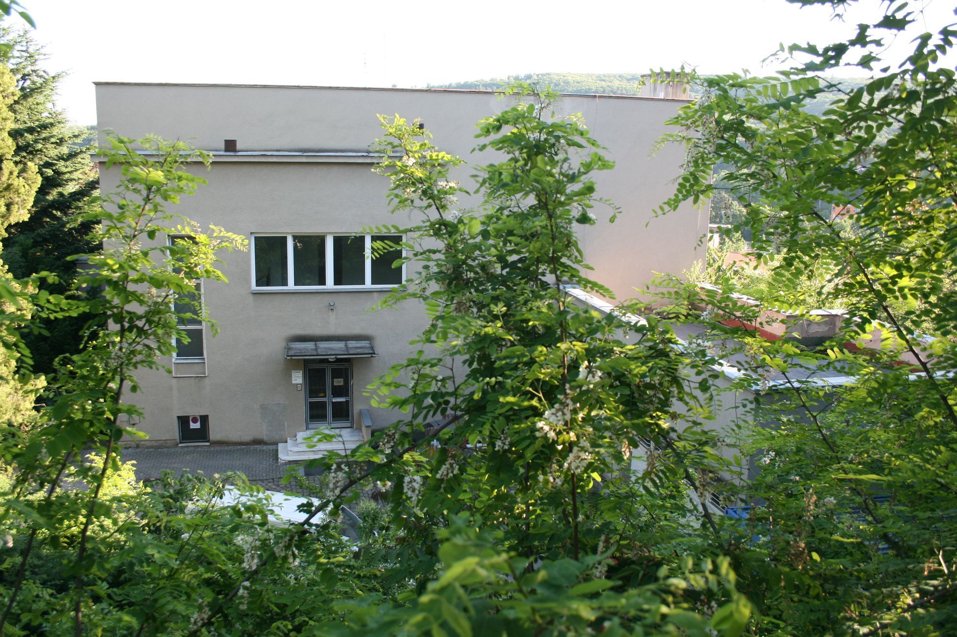 Münzova vila, Brno