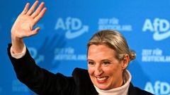 Alice Weidelová, AfD