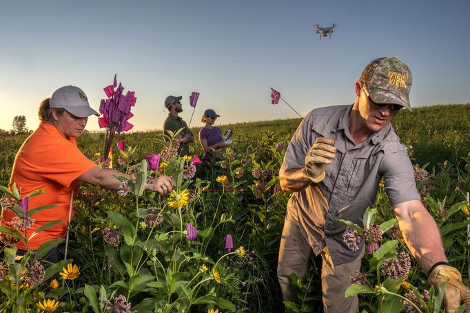 Kontinentální vítězové soutěže World Press Photo 2024