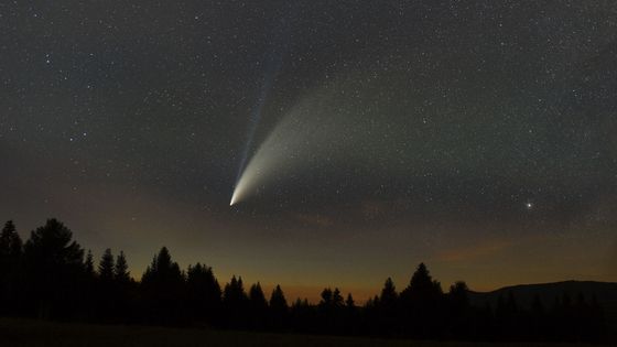 Až příště přiletí, my už tu nebudem... Kometa Neowise proletěla nejblíž Zemi