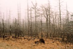 Senát schválil ratifikaci pařížské klimatické dohody, v Poslanecké sněmovně se debata protahuje