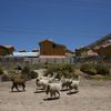 Přesídlená vesnice, Peru