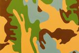 Pode Bal: "Andy Warhol / Camouflage painting / 1986", 2006, (100 x 110 cm)