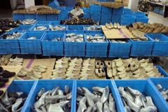 Do Baťovy vlasti teď míří rekordní počet bot z Číny
