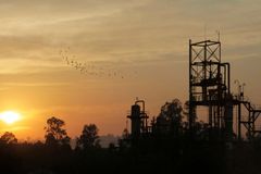Indie si připomíná svůj Černobyl. Havárii v Bhópálu