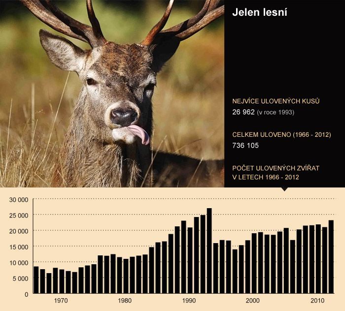 Statistika ulovené zvěře - 07