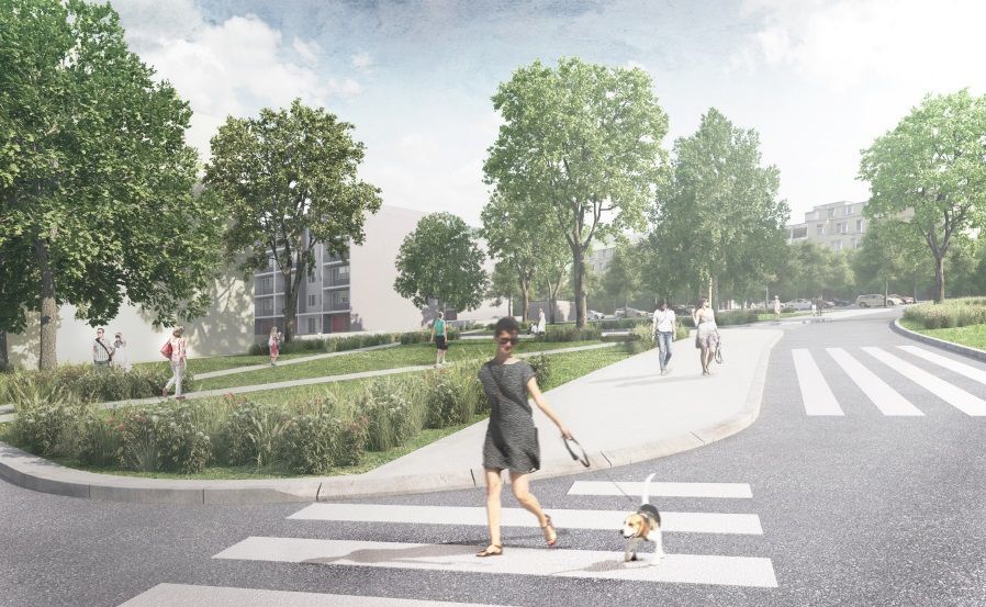 Vybíralka, revitalizace