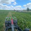 Farma Pech
