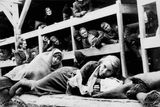 A takhle to vypadalo na ubikacích vězňů. Snímek je ovšem pořízen až po osvobození Auschwitz-Birkenau sovětskou armádou v Osvětimi.