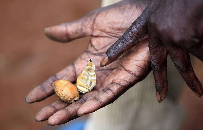 John Dimo, a traditional witch-doctor, holds up mystical artefacts he says represents U.S. President Barack Obama and his Republican rival Mitt Romney as he performs an ancient rite to predict the outcome of the U.S. elections in Kogelo village, Nyangoma Kogelo, 430 km (367 miles) west of Kenya's capital Nairobi, November 5, 2012. Kogelo is the ancestral home of Obama. Dimo, about 115-years-old, says he knew Obama's father who was buried in the village in 1982. The former army officer says he inherited his trade as a witch-doctor from his father in 1962 and is certain his rite will help favour Obama in the U.S. elections. Four years ago, Kogelo, and Africa in general, celebrated with noisy gusto when Obama, whose father came from the scattered hamlet of tin-roofed homes, became the first African-American to be elected president of the United States. Looking across the Atlantic to the November 6 presidential election, the continent is cooler now towards the "son of Africa" who is seeking a second term. There are questions too whether Romney will have more to offer to sub-Saharan Africa if he wins the White House. To match Analysis AFRICA-USA/ELECTION REUTERS/Thomas Mukoya (KENYA - Tags: SOCIETY POLITICS ELECTIONS USA PRESIDENTIAL ELECTION) Published: Lis. 5, 2012, 4:01 odp.