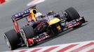 Formule 1, Sebastian Vettel (Red Bull)