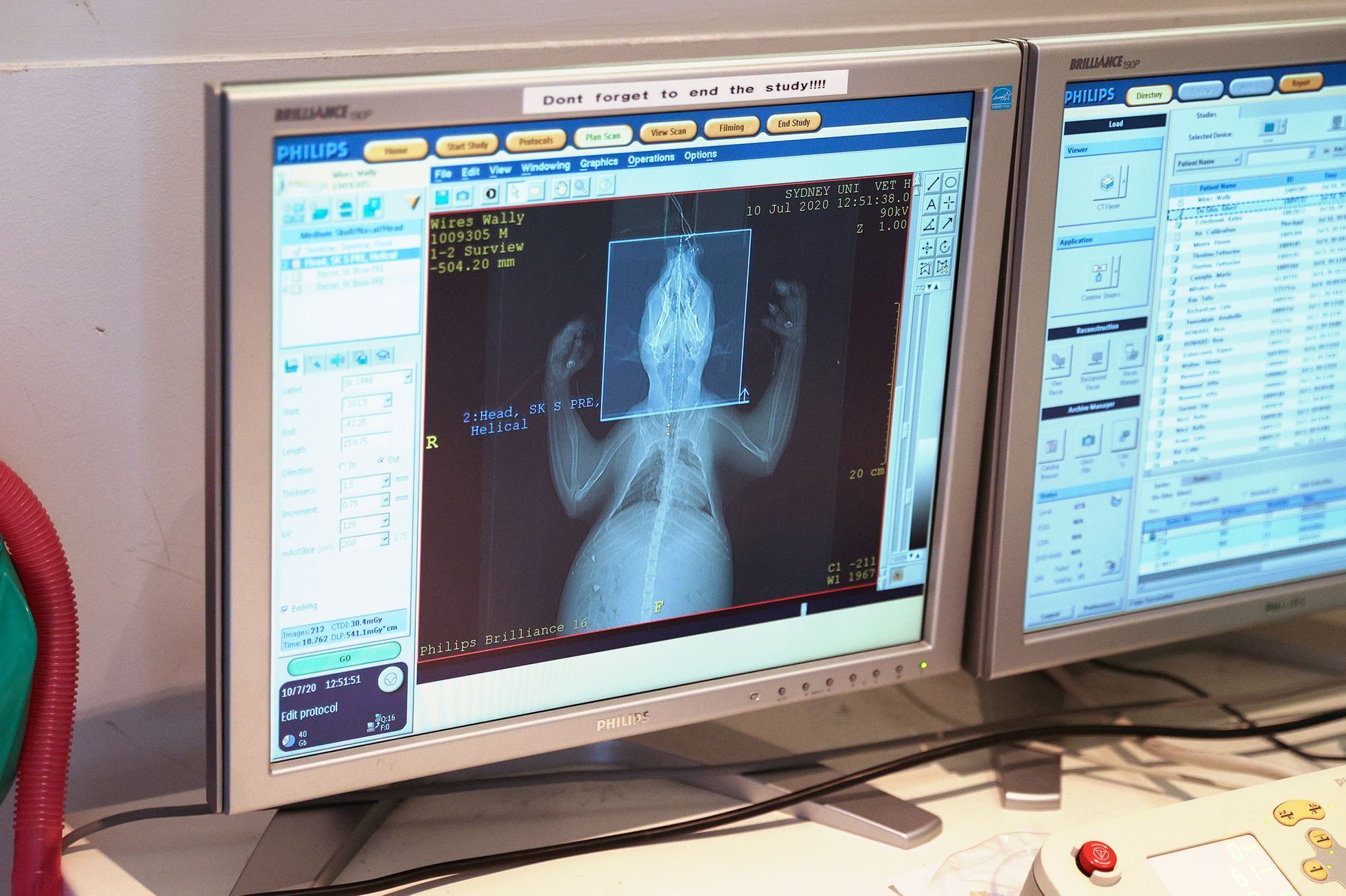 Jednorázové užití / Fotogalerie / Spása koal, která vám zachrání den