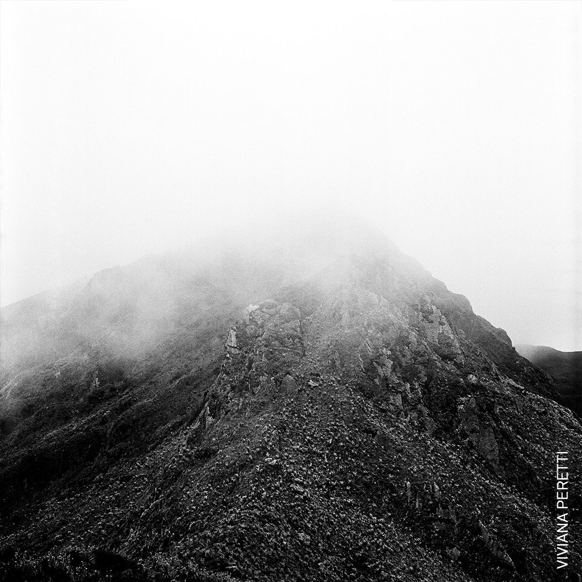 World Press Photo 2022 - regionální vítězové