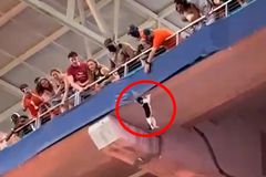 Kočka padala ze stadionu. Diváci šíleli nadšením po zásahu pohotového fanouška
