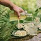 Recept na domácí bezinkový sirup