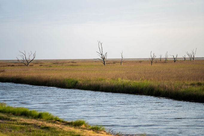 Indiánský kmen musí přesídlit. Jejich ostrov v americké Louisianě se vlivem stoupající hladiny moří potápí.