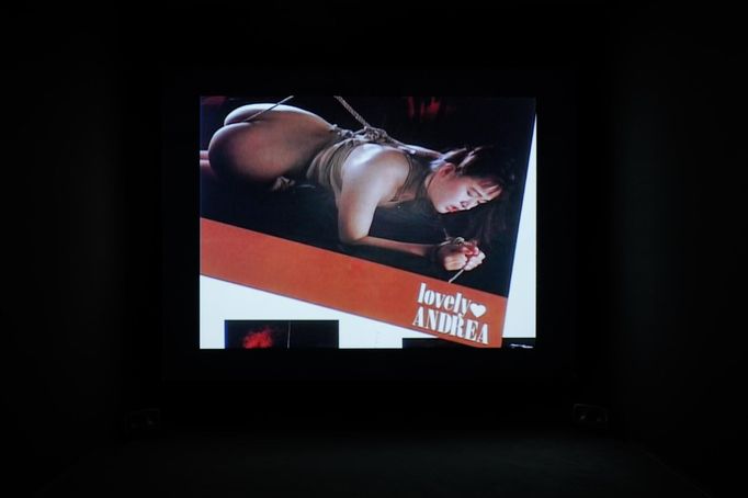 Compassion Fatigue Is Over, Hito Steyerl, Lovely Andrea (2007).