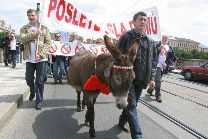 Demonstraci lékařů vedl osel. Ostatní ho následovali