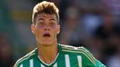 SL, Bohemians-Zlín: Patrik Schick, Bohemians