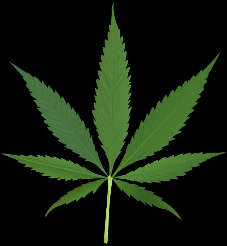 marihuana cannabis list