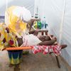 Epidemie eboly v západní Africe