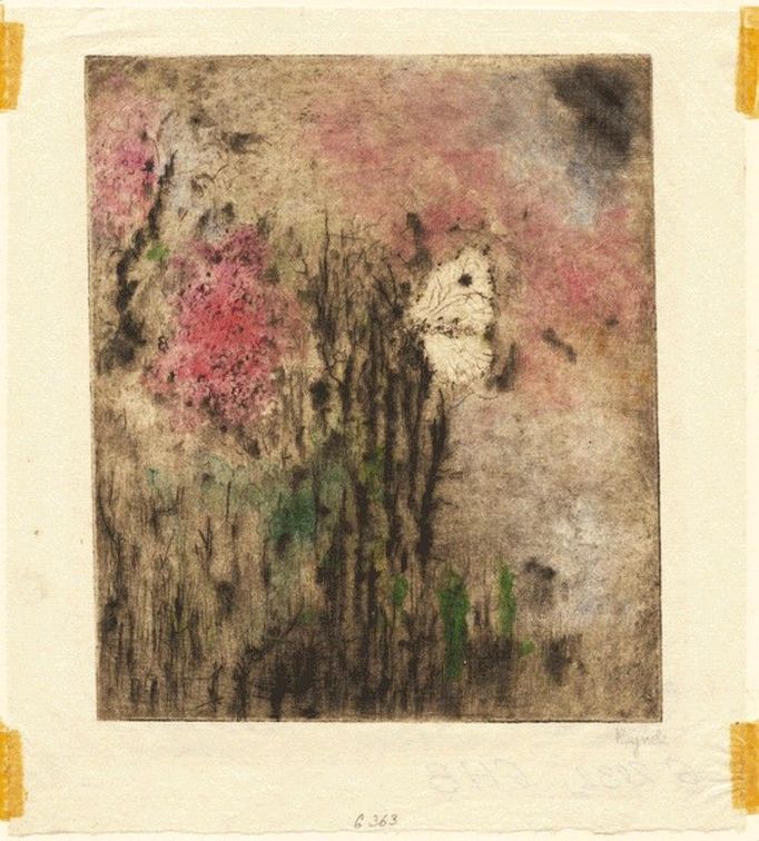 Bohuslav Reynek: Bílý motýl, 1955