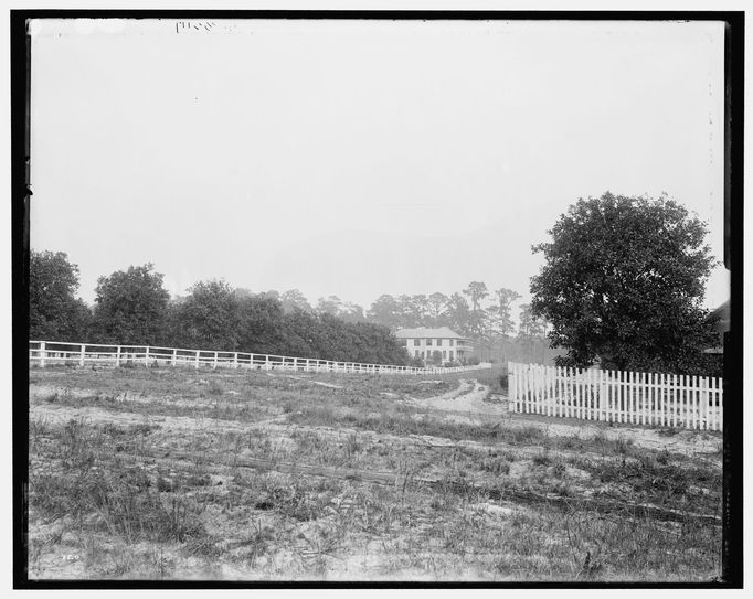 Plantáž na Floridě, z let 1890 až 1910.