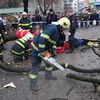 Strom ve Zlíně spadl na lidi