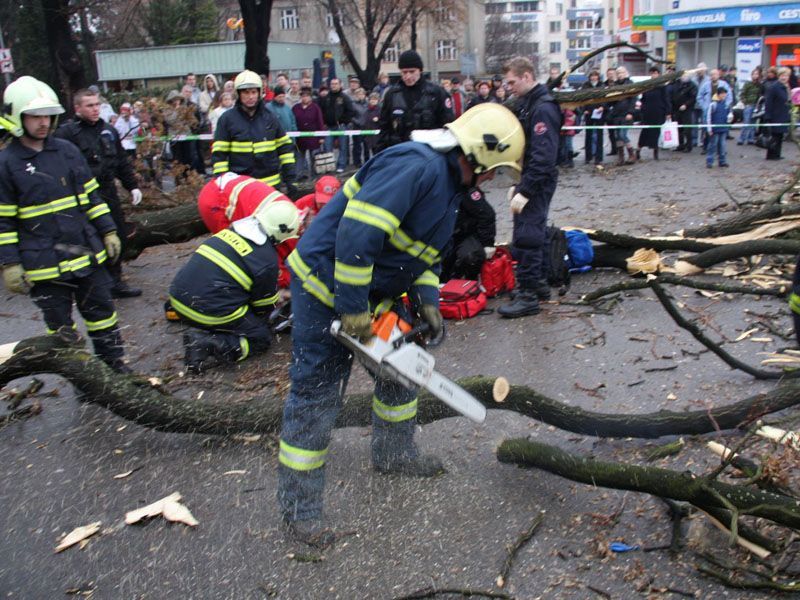 Strom ve Zlíně spadl na lidi