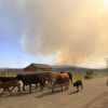 Obrazem: Colorado stále sužují mohutné požáry
