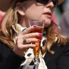 Wimbledon 2015: fanynka se šampaňským