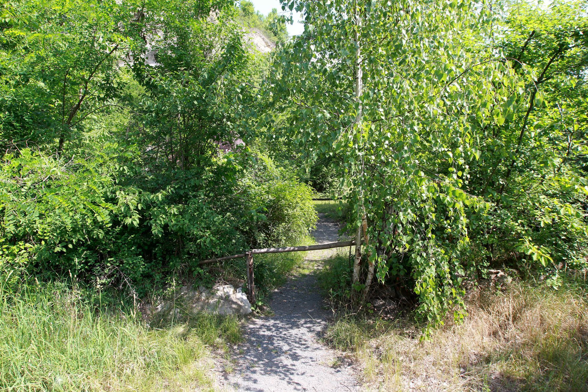 Barrandovský bazén