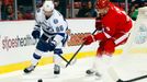 NHL: Tampa Bay Lightning vs. Detroit Red Wings (Nikita Kučerov a Jakub Kindl)