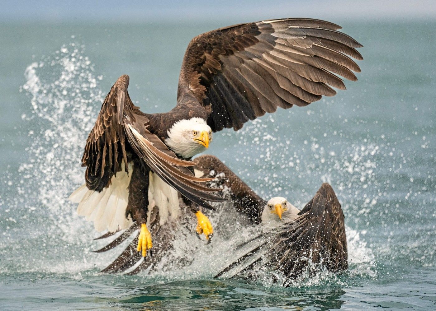 S foťákem kolem světa.