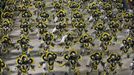 Revellers from Imperatriz Leopoldinense samba school participate during the annual Carnival parade in Rio de Janeiro's Sambadrome, February 12, 2013. REUTERS/Ricardo Moraes (BRAZIL - Tags: SOCIETY) Published: Úno. 12, 2013, 6:33 dop.