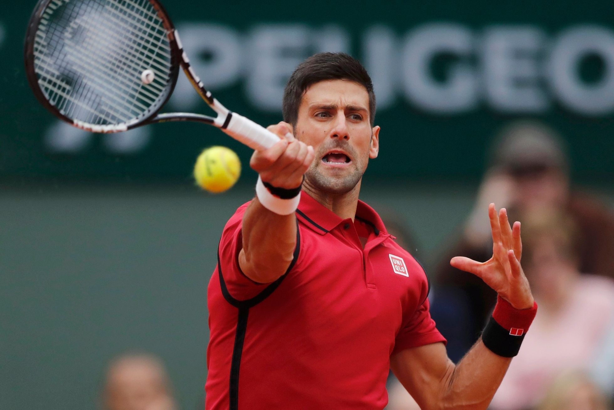 Finále French Open 2016: Andy Murray vs. Novak Djokovič