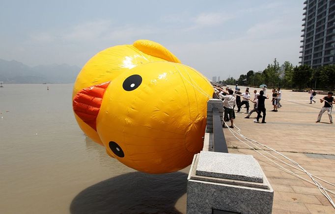 WENZHOU, CHINA - JULY 01: (CHINA OUT) People set up a scaled replica of the rubber duck, originally created by Dutch conceptual artist Florentijn Hofman, on a river on July 1, 2013 in Wenzhou, Zhejiang province of China. Přidat do lightboxu Stáhnout náhled