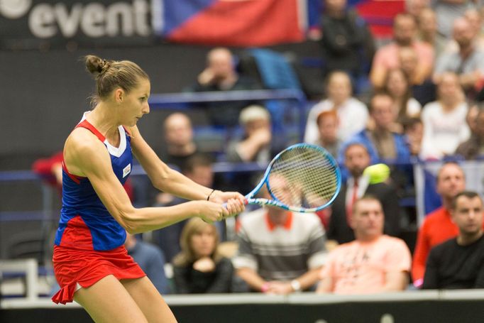 Plíšková vs. Halepová, Fed Cup, Česko vs. Rumunsko