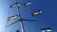 Gaza, Flotila, Greta Thurnbergová, Izrael, blokáda, Španělsko