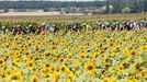 11. etapa Tour de France 2014